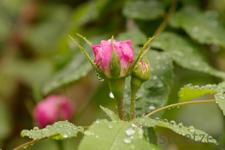 851 9461 DxO Web Schnitt 878 1494