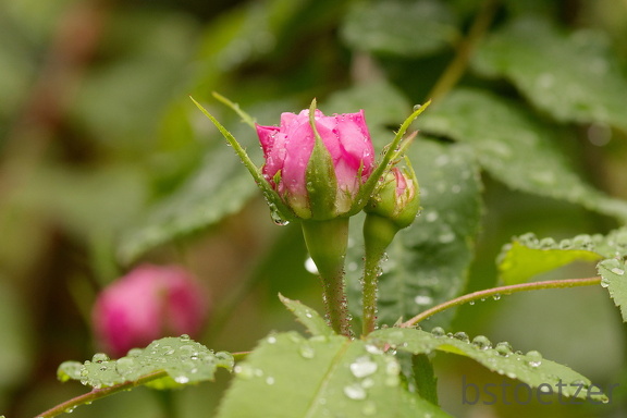 851 9461 DxO Web Schnitt 878 1494