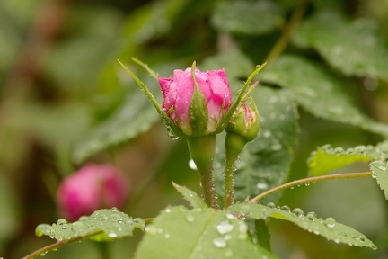 851 9461 DxO Web Schnitt 878 1494