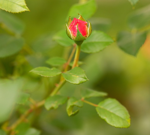 851 9611 DxO Web Schnitt 898 1496