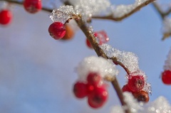 851 0803 DxO Web Schnitt-1 1377 1508