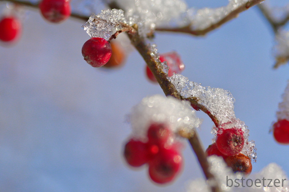 851 0803 DxO Web Schnitt-1 1377 1508