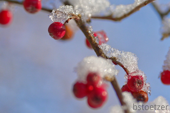 851 0803 DxO Web Schnitt-1 1377 1508