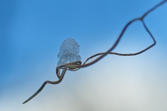 851 1194Cut 1423 1514