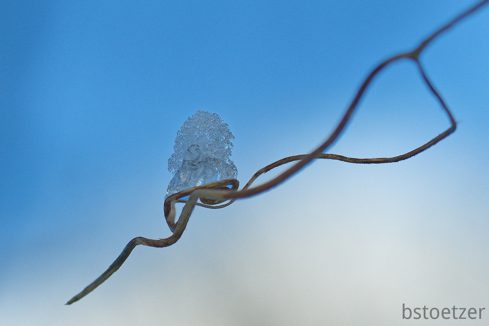 851 1194Cut 1423 1514