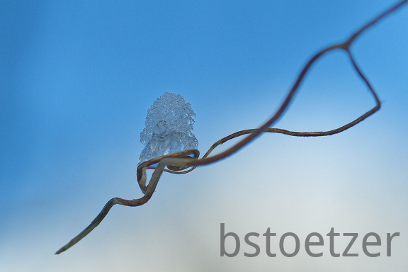 851 1194Cut 1423 1514