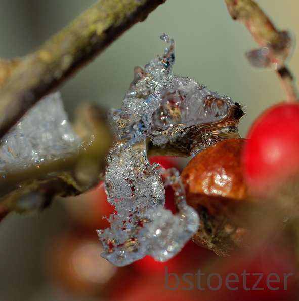 851 1227Cut 1424 1515