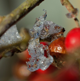 851 1227Cut 1424 1515