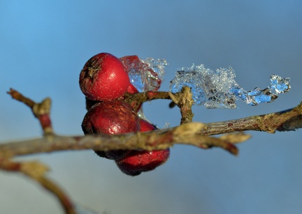 851 1230Cut 1425 1516