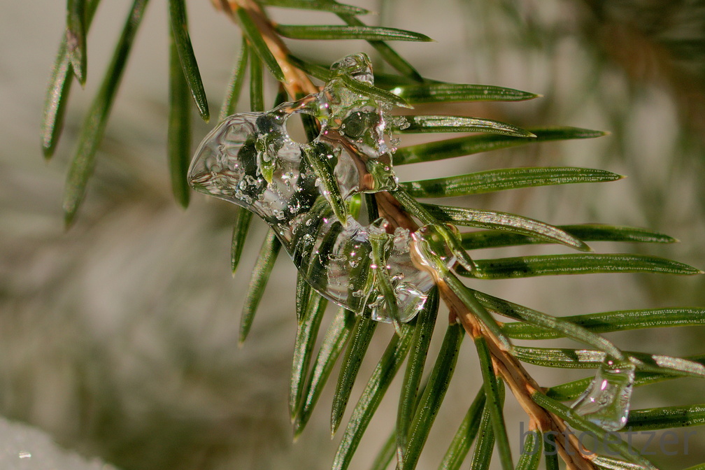 851 1515Cut final 1517