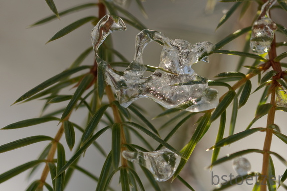 851 1605Cut final 1518