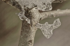 851 1613Cut final 1519