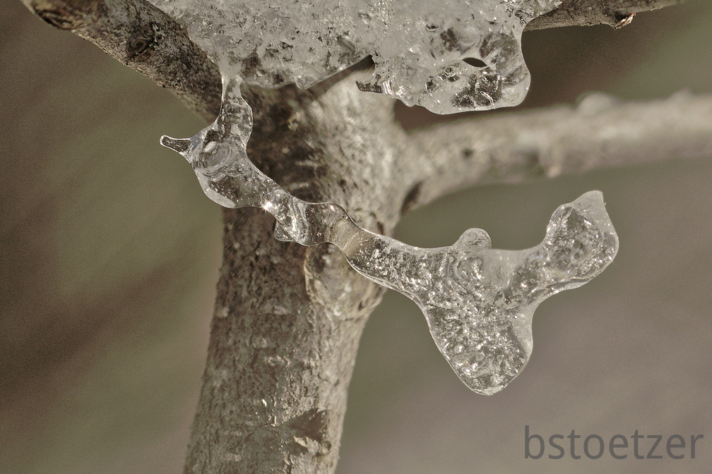 851 1613Cut final 1519