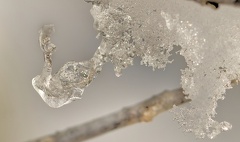 851 1619Cut final 1520