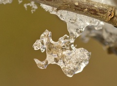 851 1620Cut final 1521