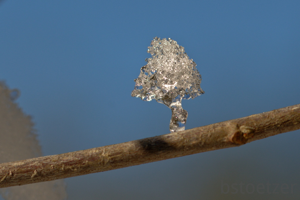 851 1631Cut final 1523