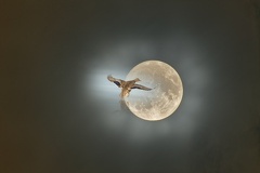 1_851 0436 DxO comp Ente Mond DxO Web Schnitt-1 1385