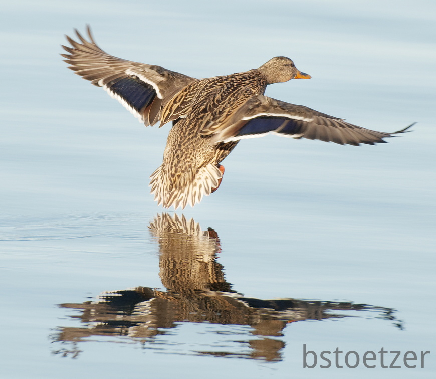 851 0788 DxO select-1 1715