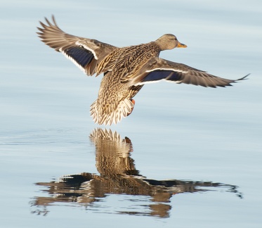 851 0788 DxO select-1 1715