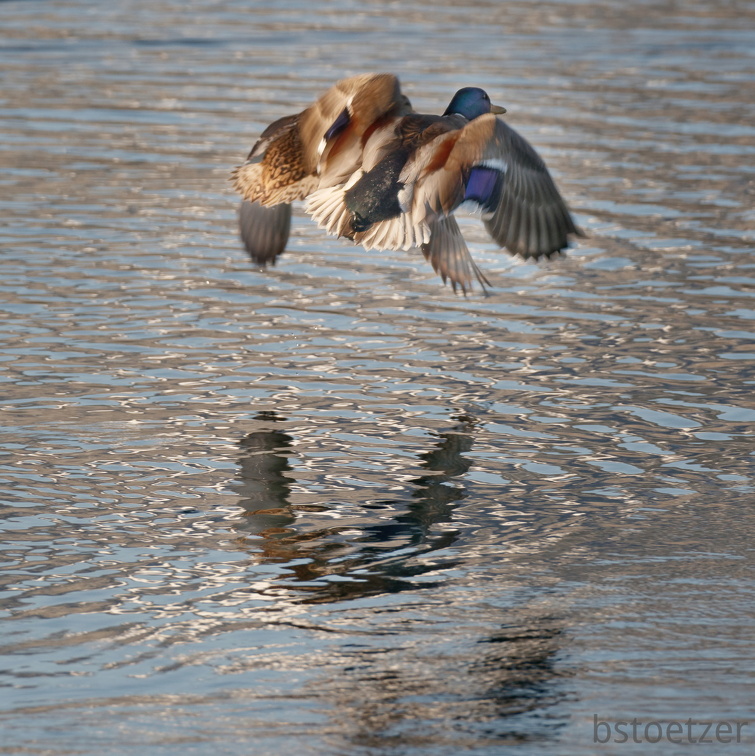 851 0850 DxO select 1762