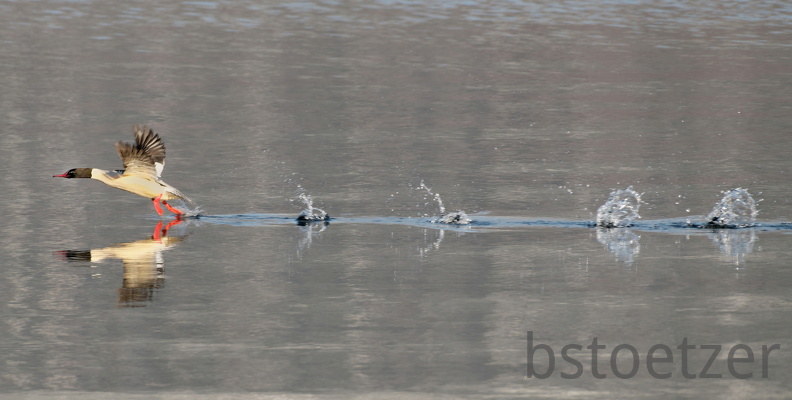 851 0864 DxO 554 1726