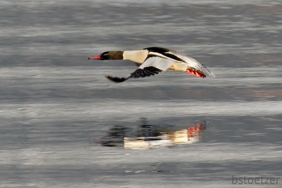 851 0865 DxO select 1727