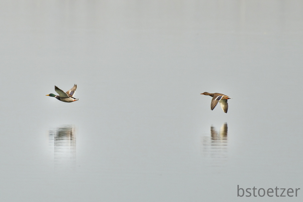 851 1406Cut final 1665