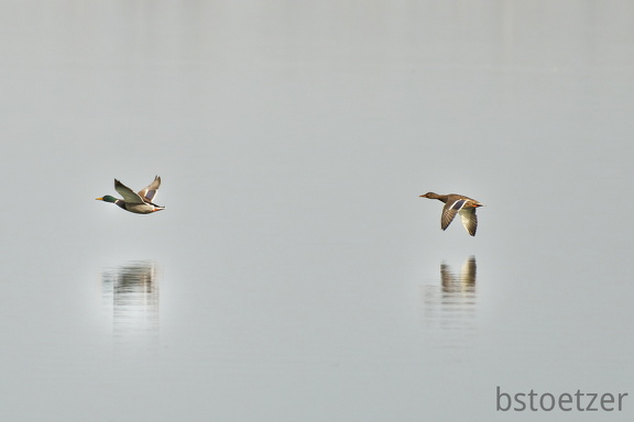 851 1406Cut final 1665