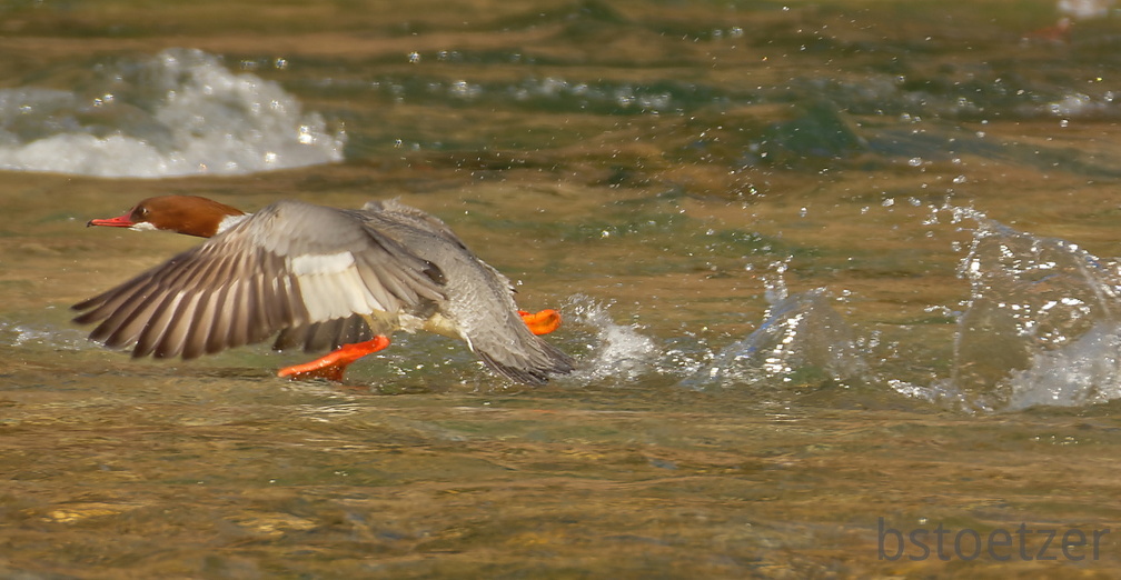 851 1677Cut final 1690