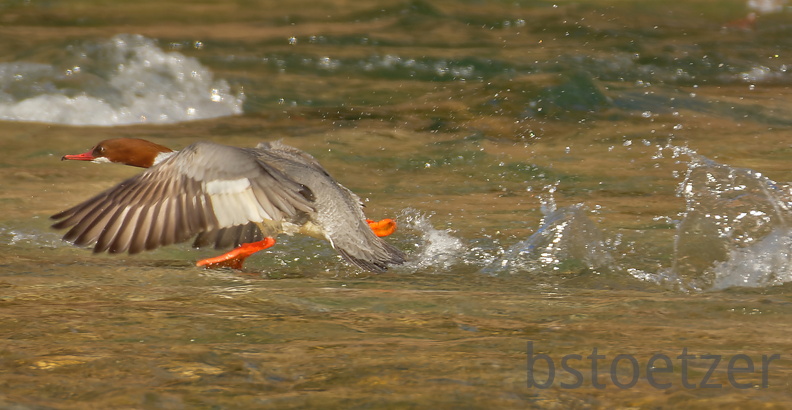 851 1677Cut final 1690