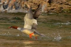 851 1679Cut final 1669