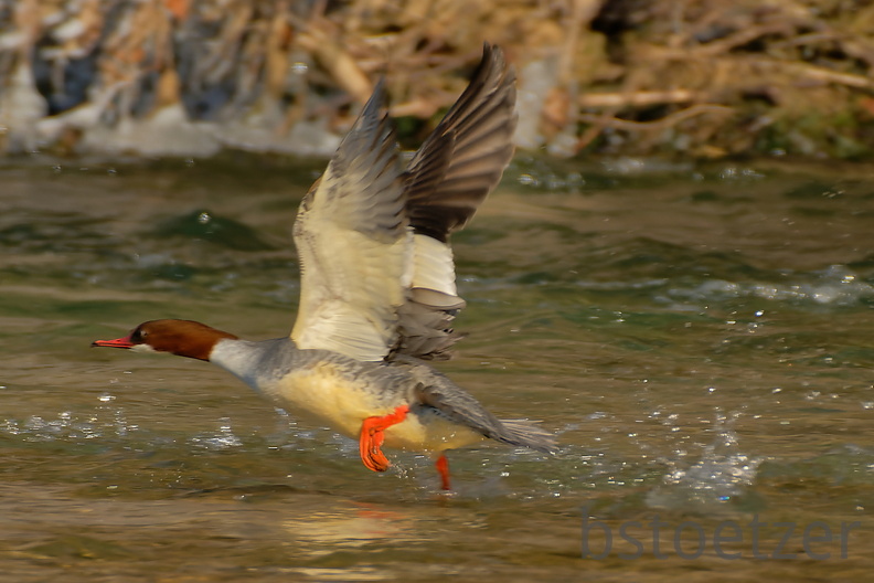 851 1679Cut final 1669