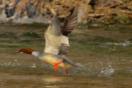 851 1679Cut final 1669