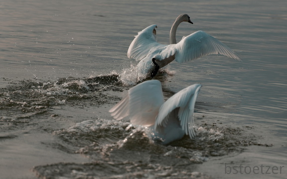 851 2014 DxO select 1785