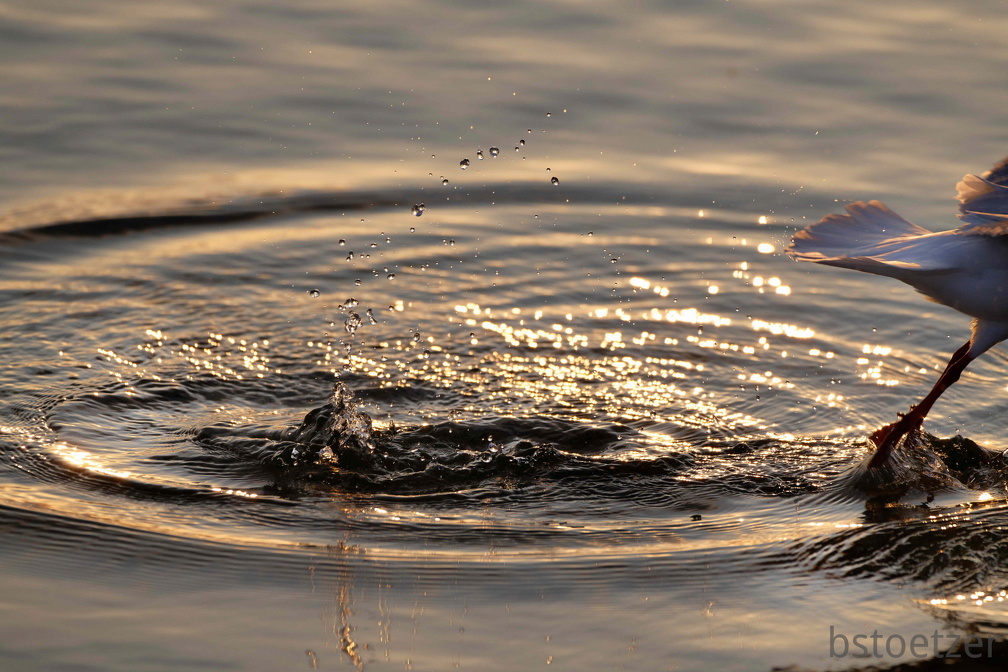 851 2486 DxO select 1671