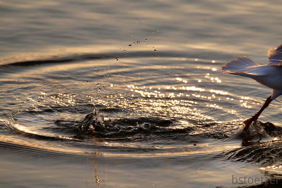 851 2486 DxO select 1671