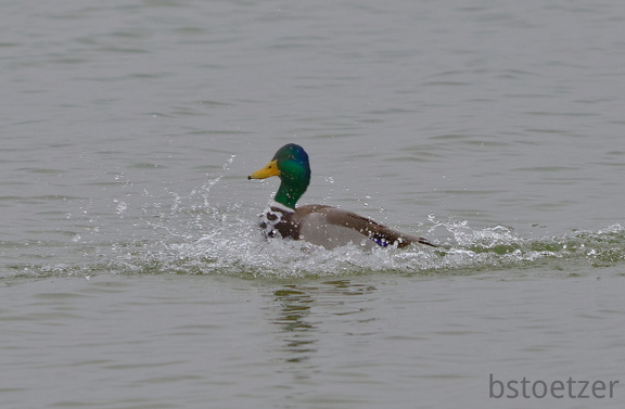 851 2628 DxO select 1664