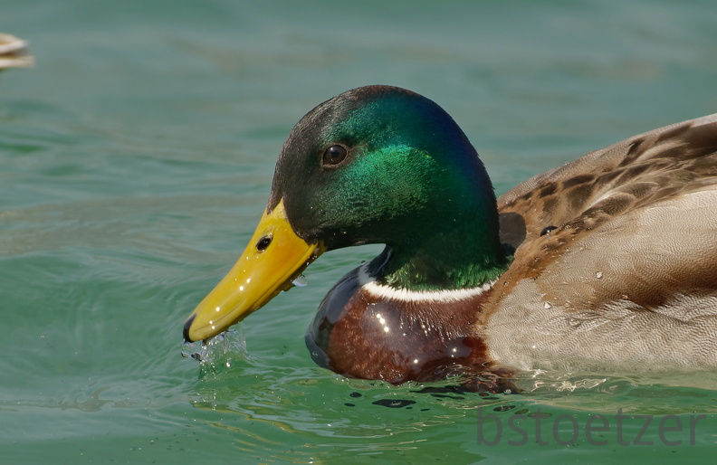 851 3186 DxO select 1 1721