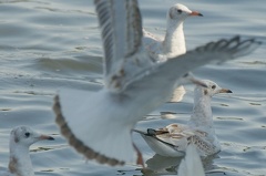 851 8923 DxO Web Schnitt 1709