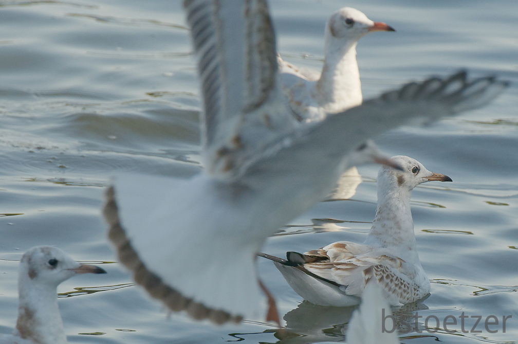 851 8923 DxO Web Schnitt 1709