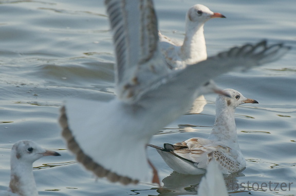 851 8923 DxO Web Schnitt 1709