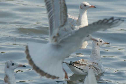 851 8923 DxO Web Schnitt 1709