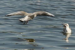 851 8948 DxO Web Schnitt 1761