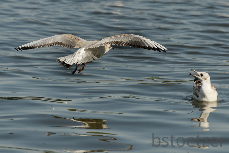 851 8948 DxO Web Schnitt 1761