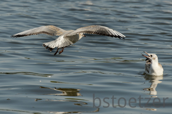 851 8948 DxO Web Schnitt 1761