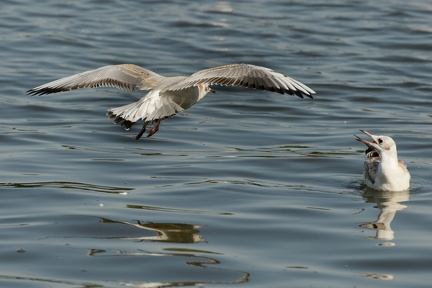 851 8948 DxO Web Schnitt 1761