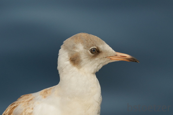 851 8973 DxO Web Schnitt 1732