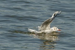 851 9000 DxO Web Schnitt 785 1714