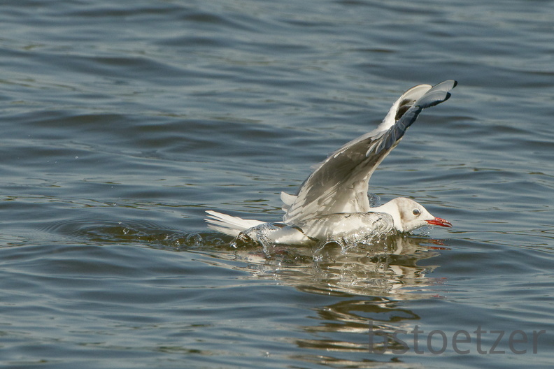 851 9000 DxO Web Schnitt 785 1714