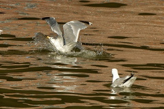 851 9094 DxO Web Schnitt 1713